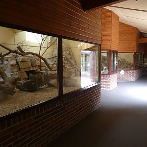 Yellow mongoose house