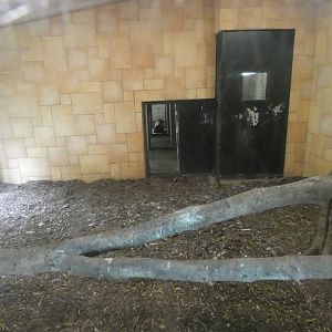 Indoor tiger enclosure