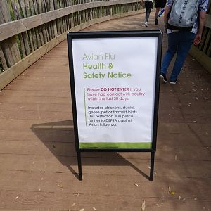Bird flu signage
