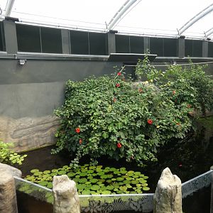 Former marmoset island