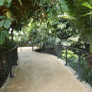 View in tropical house
