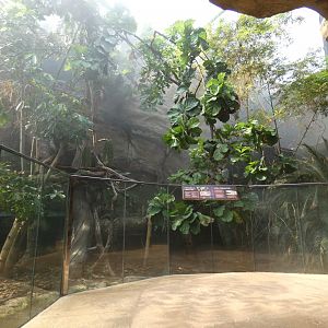 Salvadori's monitor enclosure