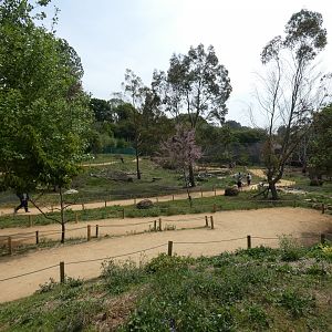 Wallaby walk-through (2)