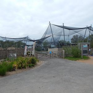 Wetland Aviary 290422