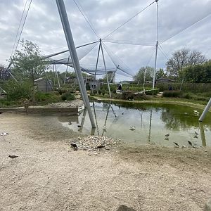 Wetland Aviary 290422