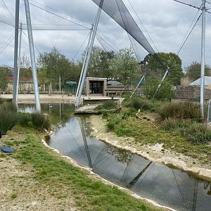 Wetland Aviary 290422