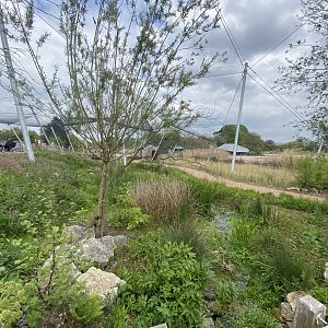 Wetland Aviary 290422