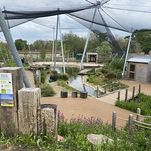 Wetland Aviary 290422