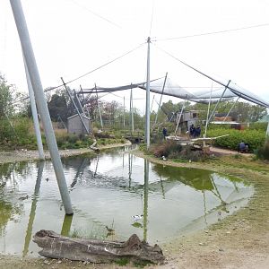 Wetland Aviary 290422