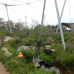 Wetland Aviary 290422