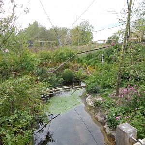 Wetland Aviary 290422