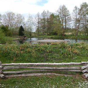 North American area 290422