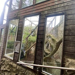 Squirrel monkey enclosure 150522