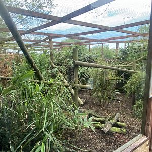Northern yellow-throated marten enclosure 150522