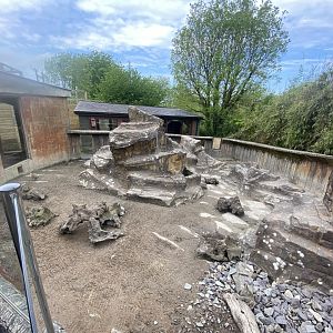 Meerkat enclosure 150522