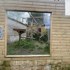 Indochinese clouded leopard enclosure 150522