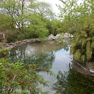 Waterfowl enclosure 150522