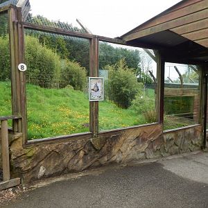 Caracal enclosure 150522