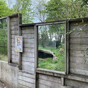 Maned wolf enclosure 150522