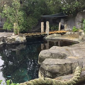 Subantarctic Fur Seal Exhibit (Jetty)