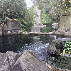 Penguin and Seal Pools (Dividing Wall)