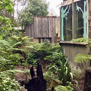 Remnants of Old Siamang Exhibit (1996-2020)