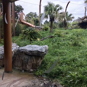 Sumatran Tiger Exhibit (Medium) - Overhead Tunnel Open