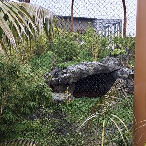 Sumatran Tiger Exhibit (Small) - BOH Cages Completed
