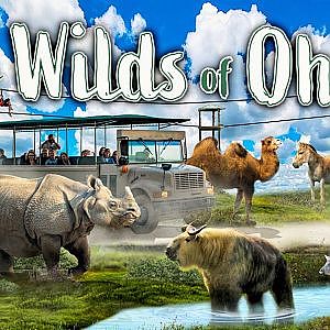 The Wilds of Ohio: PART ONE | Zoo Tours