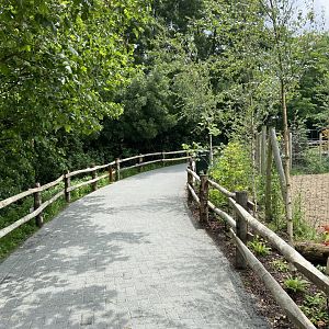 New path to rear of bison paddock