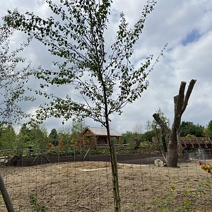 Bison paddock and new path