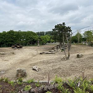 Bison paddock as seen from new path