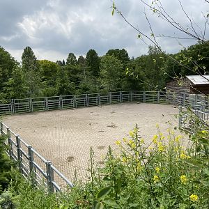 Bison holding area as seen from new path