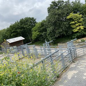 View of bison holding area from new path