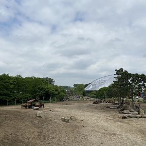View of bison paddock from new path