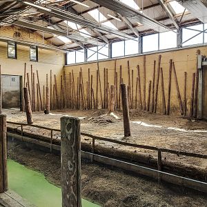 Asian elephant indoor enclosure