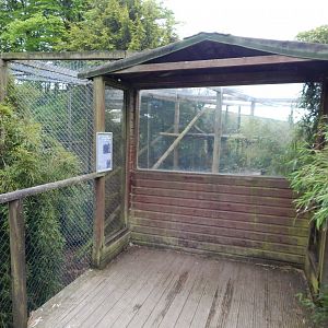Black leopard enclosure 150522