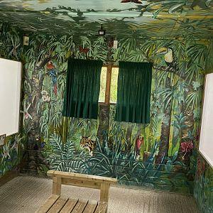 Callitrichids House 150522