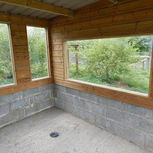 Eurasian wolverine viewing window 150522