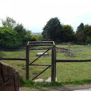 Capybara enclosure 150522