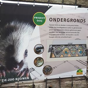 Signage about future project in the basement of the entrance building, 2022-05-17