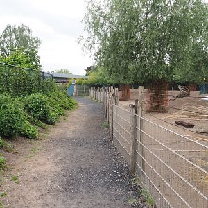 Walkway and Eastern grey kangaroo and Parma wallaby paddock, 2022-05-17