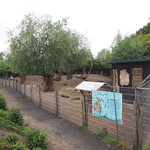 Walkway and Eastern grey kangaroo and Parma wallaby paddock, 2022-05-17