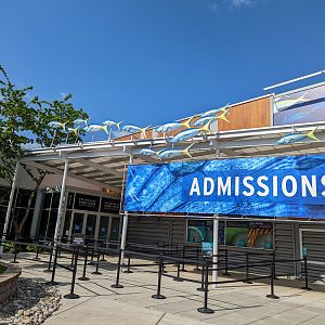 New fish decorations on top of the admissions area