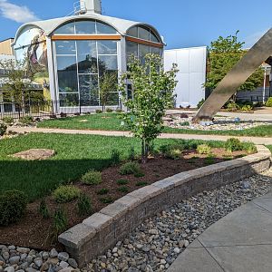New entrance plaza renovations