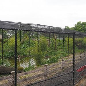 New wetland aviary, 2022-05-17