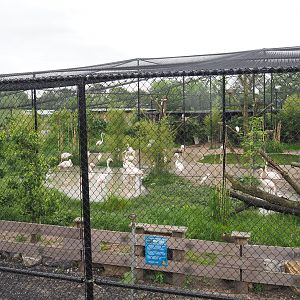 New wetland aviary, 2022-05-17