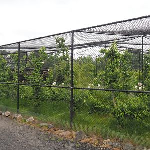 New wetland aviary, 2022-05-17