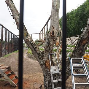 Construction of future mountain area, 2022-05-17