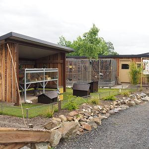 Area for autistic staff members with domestic animals, 2022-05-17